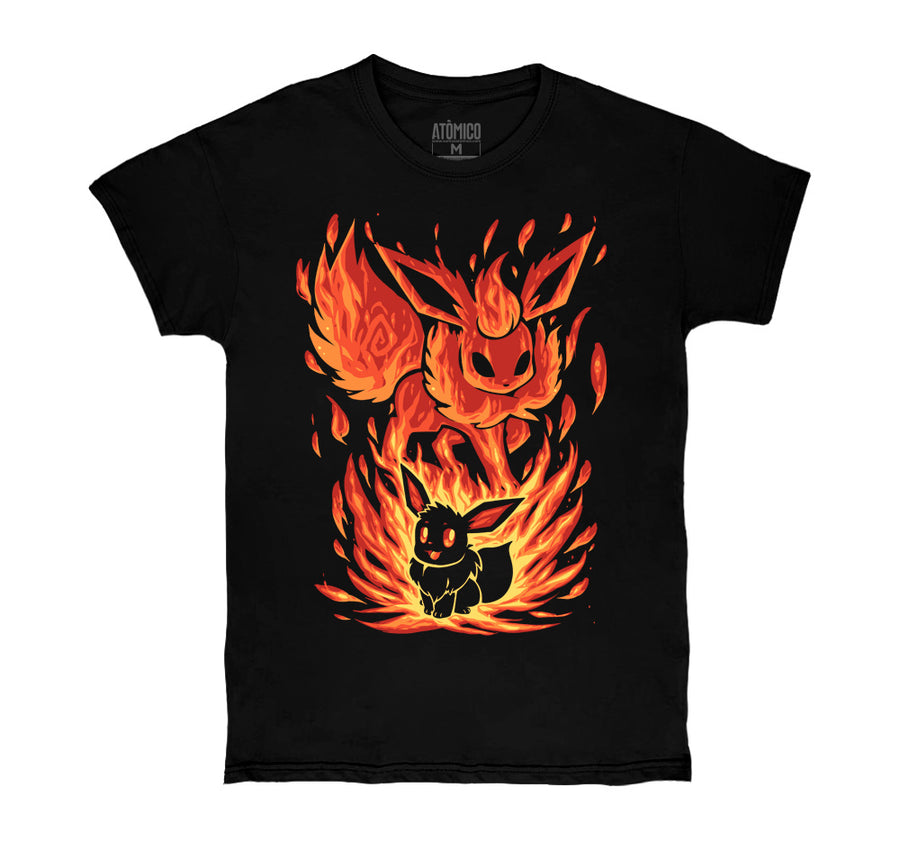 The Fire Evolution